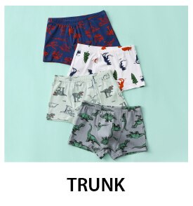 Trunk Underwear for Boys