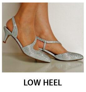 Silver Pumps Low Heel for Women 